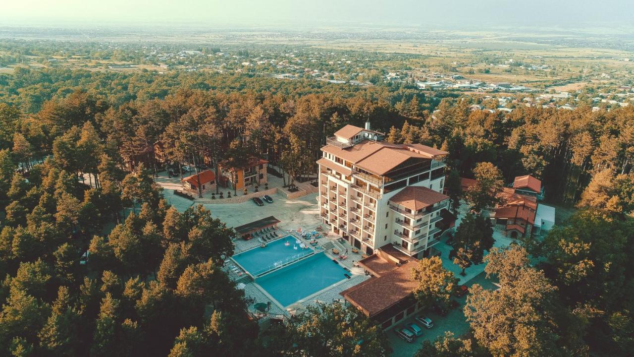 Zuzumbo Resort & Spa Telavi Exterior foto